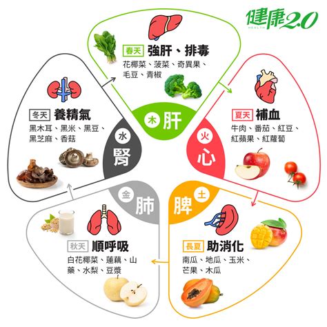 紅色食物五行|藥補不如飲食補，五行五顏色這樣吃。Caldo卡朵生活